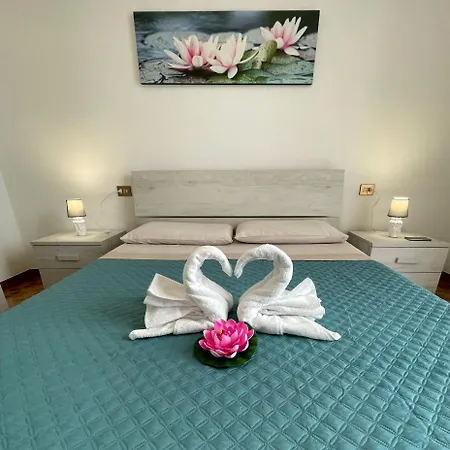 Water Lily * Bardello