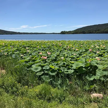 Water Lily Апартаменты Bardello