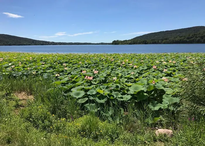 Water Lily 아파트 Bardello