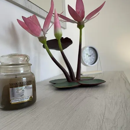 Apartment Water Lily Bardello