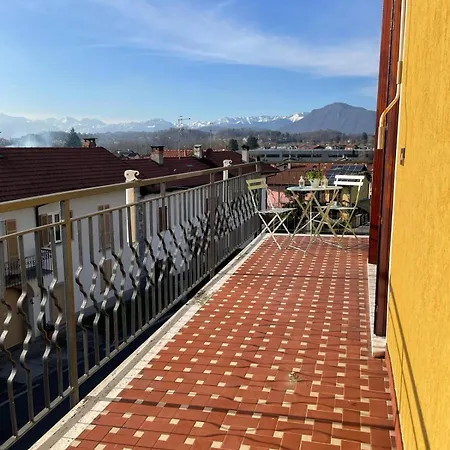 Apartment Water Lily *