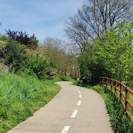 Apartment Water Lily Bardello